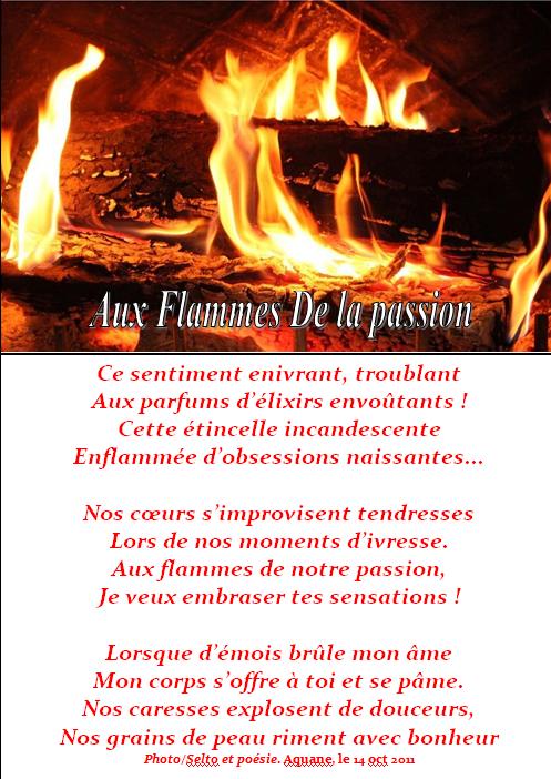 aux-flammes-de-la-passion-1.jpg